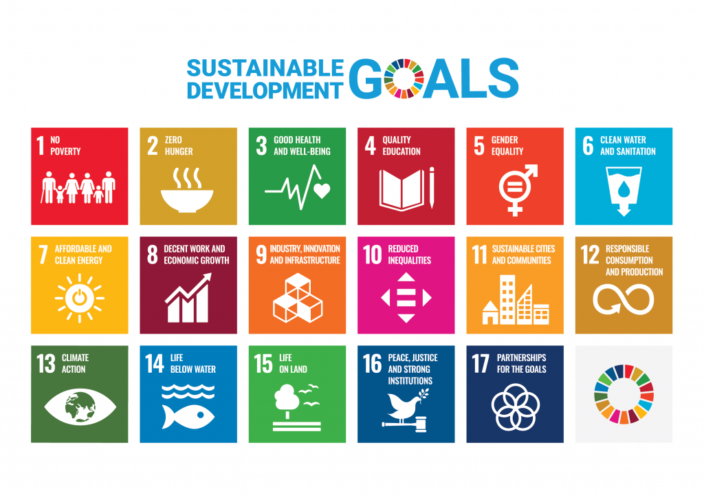 An image showing the 19 sustainable development goals of the United Nations